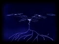My Life - BuBoNiC NATE and Dead Rats Music Video