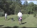 Disc Golf Live #22: Overhand Thumber Tutorial