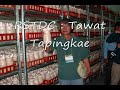 Thailand, RSTDC : Visiting King Oyster Mushroom Factory in Korea