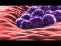 nanomedicine: nanote