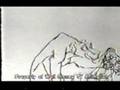 Lion King- Cut scene 2- Kovu's Bug