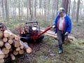 Järn Häst i Karlstorp
