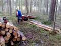 Järn Häst i Karlstorp