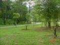 enjoying scenic tricycle ride Taman Tun Botanic Garden