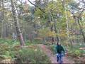 Autumn bike ride on the Lickey Hills November 2007