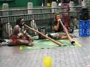 Anew take on a traditional instrument!