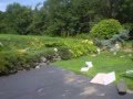 wikid sweet ramp