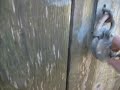 Moja WSK 125 84r.AVI