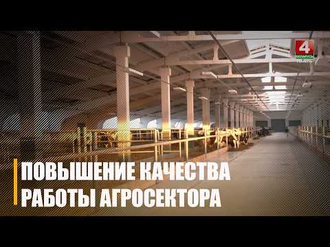 Темп роста производства продукции в январе – 104,3%. Первые результаты работы агросектора проанализировали на Гомельщине видео