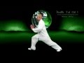Tai Chi (Health)