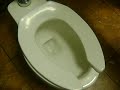 The toilet that wouldn\