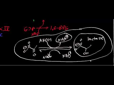 how to perform ldh test