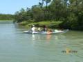 Holbox or Isla Holbox - Bird Watching and Kayak
