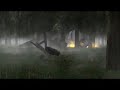 Soulking - The Island Storm Soulking - The Island Storm