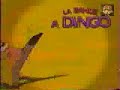 bande a dingo