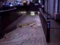 Hochwasser Lyss