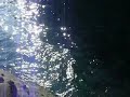 VCLP0005