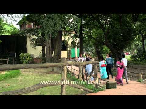 Alipore Zoological gardens : famous tourist destination in Kolkata