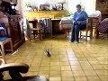 plachow et son helico