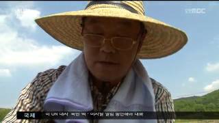 뉴스투데이