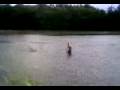 videos de Honza leze do vody pokus 1