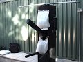 Choy lee fut Ching Jong- Shaolin wooden dummy Choy lee fut Ching Jong- Shaolin wooden dummy