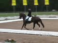 Dressage Dance party!- what is love(dedicated to my mom)