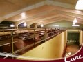 Bodega Cune