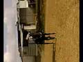 videos de Alcor76 a cavallo