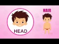 Learn about your Human Body Parts - 04 HAIR (Tamil)