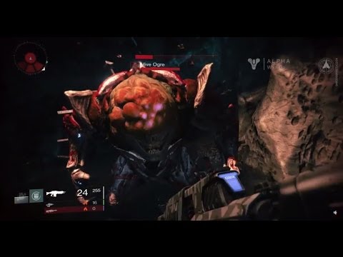 how to know hive version