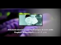 Islam ◆ Ad-Dajjâl, le faux messie, L'Antéchrist [intro]