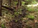 A Walk Up Yonda