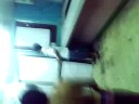 obet vs sadam (ang paghaharap)