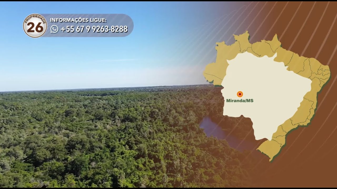 Terralmo 26: Fazenda à Venda em Miranda/MS na Barra do Salobra