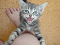 SCOUT IS HUNGRY!!!