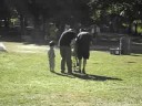 Riding a unicycle