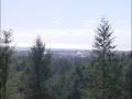 Van Eck Forest Project - Just North of Arcata, CA