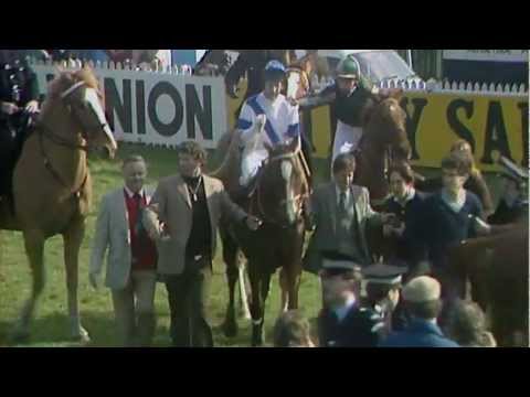 2013 grand national 2013 grand national