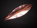 Copper Leaves