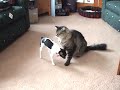 See Video
