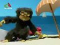 كيف يفكر الشباب الجزائري