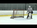 Reebok Ai 9 - Pavel Datsyuk Tricks