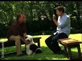 Video zur Welpenerziehung - Grundregeln (Episode 4) Video zur Welpenerziehung - Grundregeln (Episode 4)
