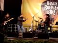 "Devil Went Down to Georgia" before the Zac Brown Band at Sea World's Bands, Beer, BBQ - 2