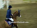 Showjumping 22march08 Showjumping 22march08