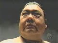 Sumo fight