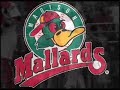 Madison Mallards vs. Waterloo Bucks - 7-27-08 Madison Mallards vs. Waterloo Bucks - 7-27-08
