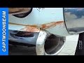 WARNING GRAPHIC, Bird Strike aftermath