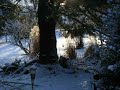 DSCF0002 DSCF0002